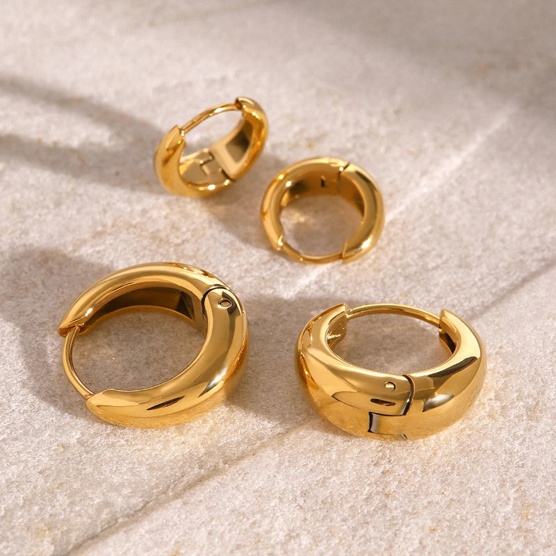 Anastacia Hoops Earrings